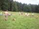 dscn4444_small.jpg