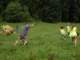 dscn4462_small.jpg