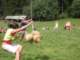 dscn4464_small.jpg