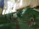 loukai2010409_small.jpg