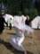 tborkadov201026_small.jpg