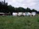 tborkadov2010423_small.jpg