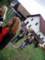 tborkadov2010437_small.jpg