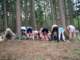tborkadov20106_small.jpg
