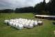 dsc05645_small.jpg
