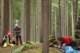 dsc05843_small.jpg