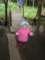 dscn4515_small.jpg