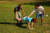Photo Number 14