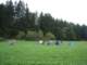 Photo Number 3