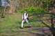 dsc_0117_small.jpg