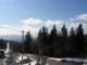 Photo Number 8