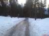 Photo Number 6