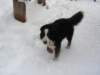 Photo Number 8