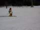 p1000037_small.jpg