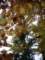 pa160011_small.jpg