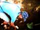 dscn5476_small.jpg