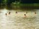 dscn5483_small.jpg