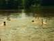 dscn5491_small.jpg