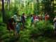 dscn5492_small.jpg