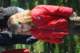 dsc_0411_small.jpg