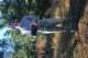 dsc_0416_small.jpg