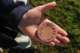 dsc_0426_small.jpg