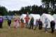 kadov2011037_small.jpg