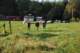dsc_0033_small.jpg