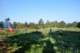 dsc_0059_small.jpg