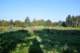 dsc_0060_small.jpg