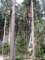 cyklovletvvrovkaduben2010086_small.jpg